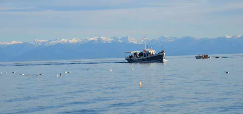 Julia Malchow Mongolei - Bergpanorama hinter dem Baikalsee