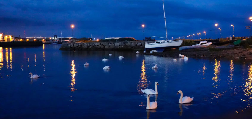 Luxus Reise Irland Schwäne Galway