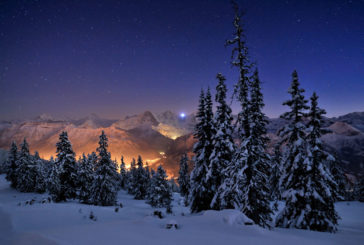 Naturfotografie Alpenregion - Niederhorn Schweiz