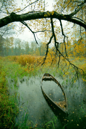 „Eschenlohe“ by Jens Noelte for Seestyle Photography Naturfotografie Alpenregion - Eschenlohe
