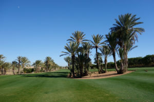 Assoufid Golf Club
Marrakesh Assoufid Golf Club Marrakesh