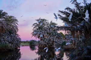 Oase im Palmeraie Palace Oase im Palmeraie Palace