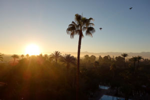 Marokko Sonnenaufgang La Mamounia Marokko Sonnenaufgang La Mamounia