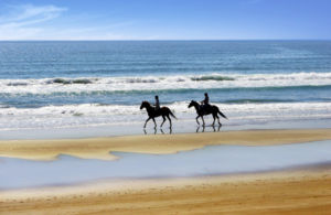 MAZAGAN Beach & Golf Resort MAZAGAN Beach & Golf Resort