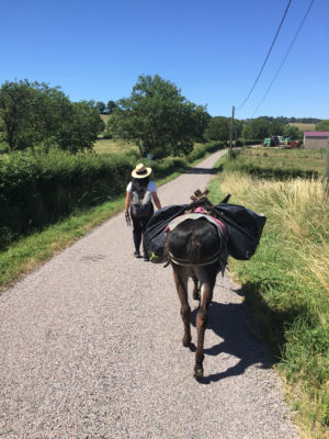 Eselwandern in Burgund - Robert Lübenoff nimmt sich mal ne Auszeit
