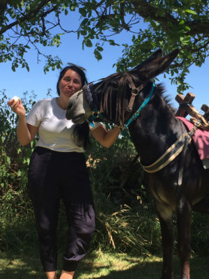 Eselwandern in Burgund - Robert Lübenoff nimmt sich mal ne Auszeit