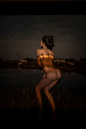 copyright Stefan Huber